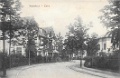 Wilhelminapark0001, Vijverlaan. 1909